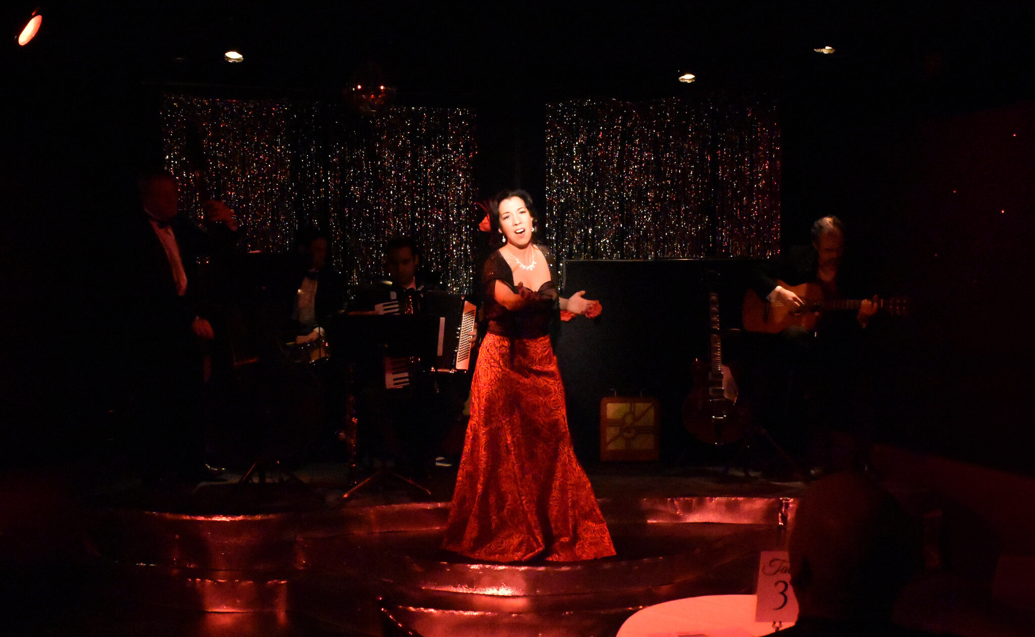 A flamenco dancer in a red dress performs on stage with dramatic lighting.