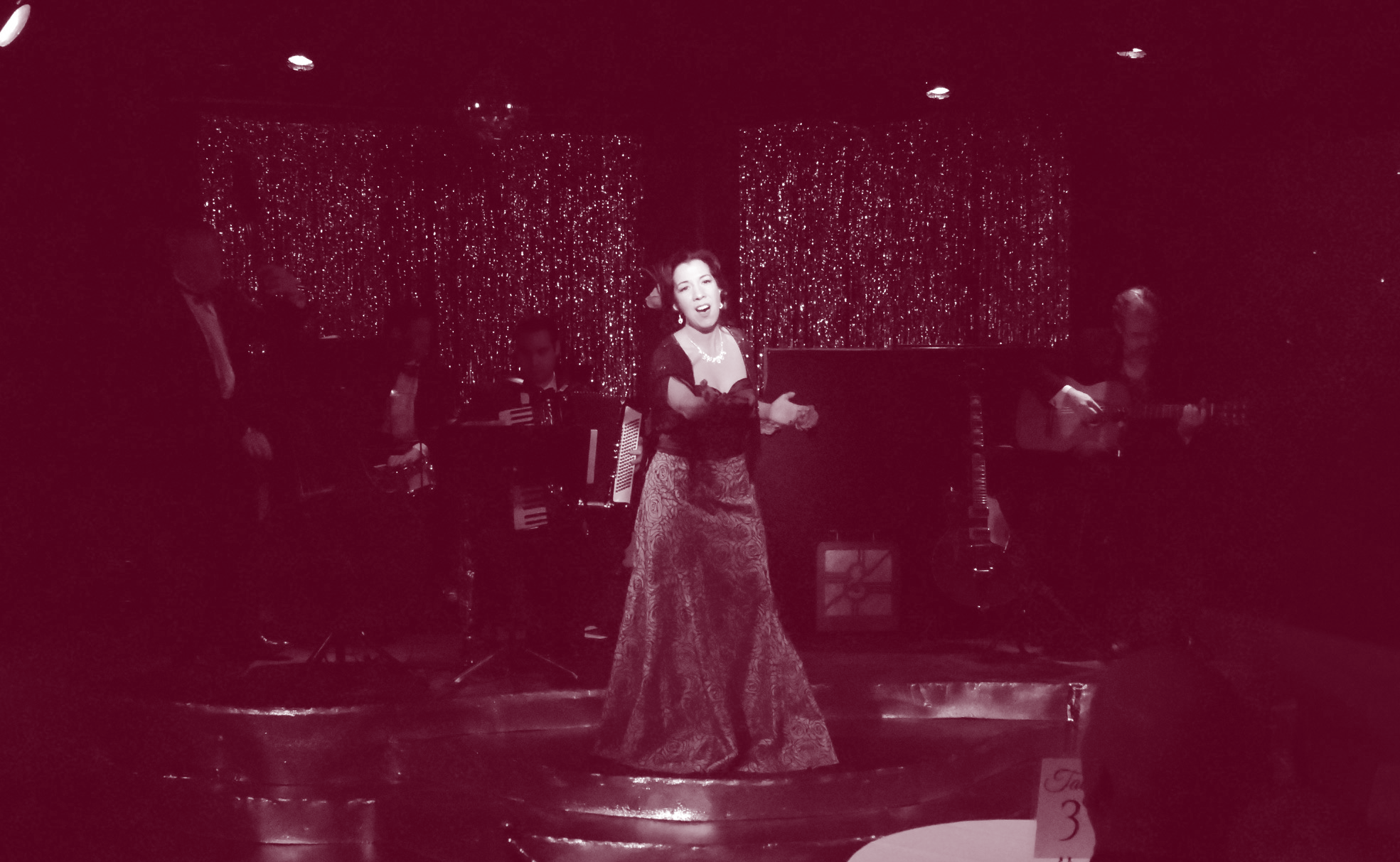 A woman in an elegant gown sings on stage with musicians behind her.